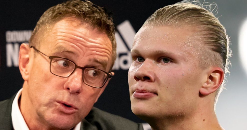 秦彻的人设 秦彻的人设