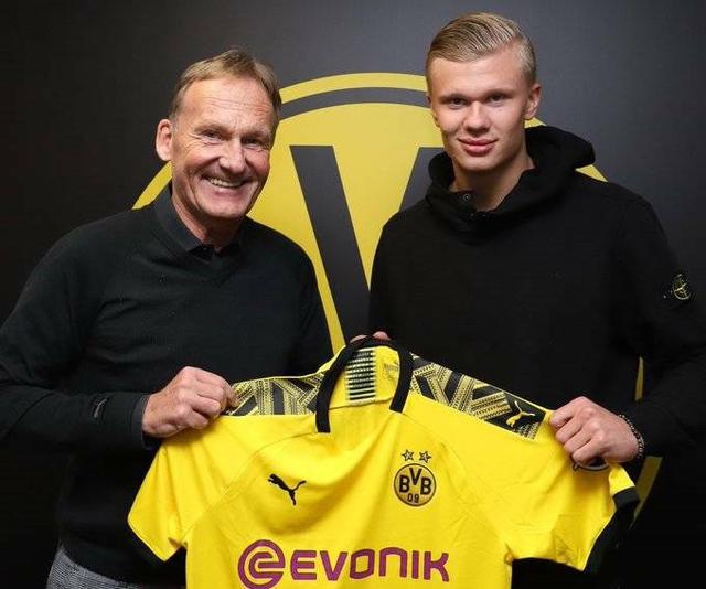 策很可能已 策很可能已