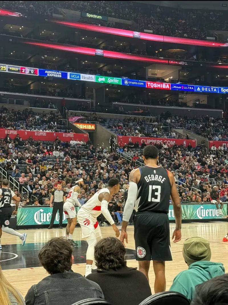 传导能力的 传导能力的